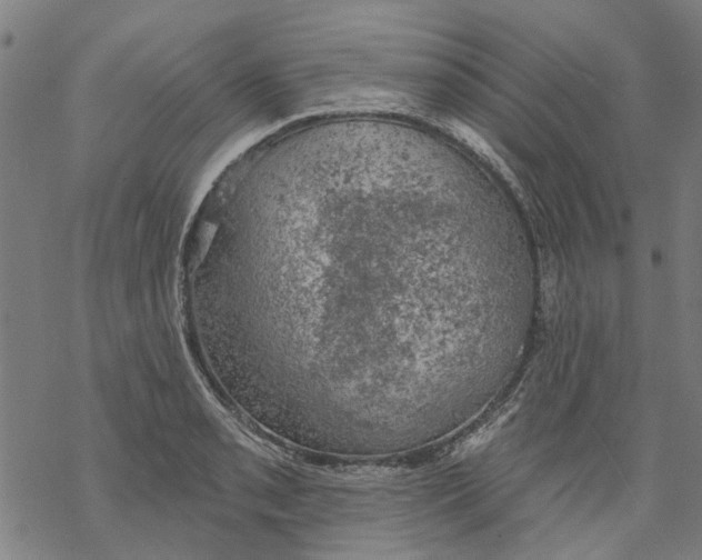 X0000068891085200605261840