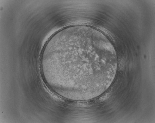 X0000068891086200605261840