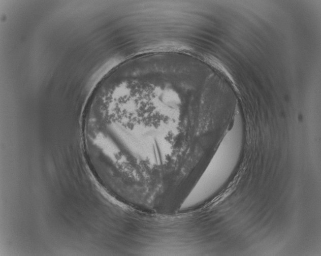 X0000068891087200605261840