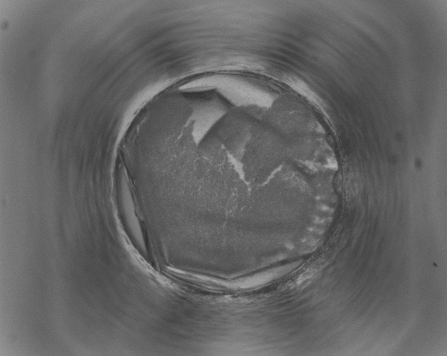 X0000068891088200605261840