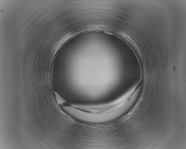 X0000068891089200605261840