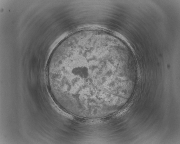 X0000068891090200605261840