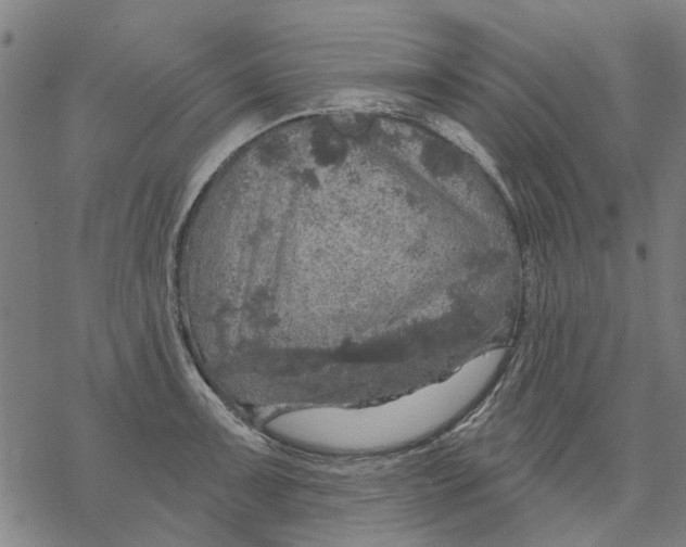 X0000068891091200605261840