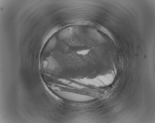 X0000068891095200605261840