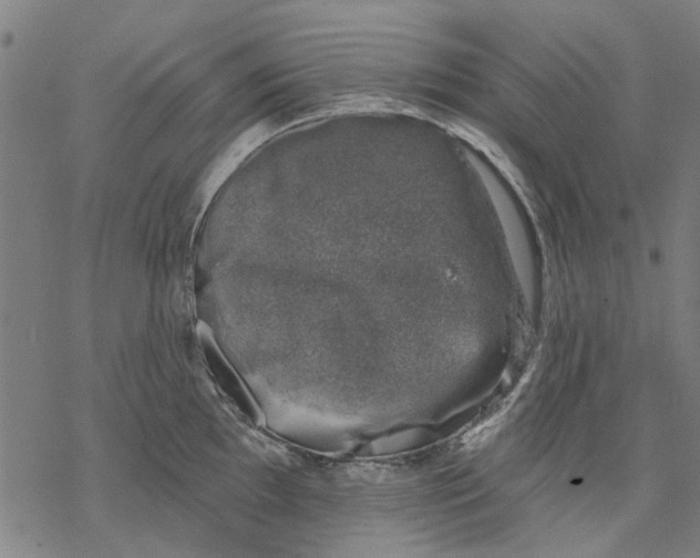 X0000068891097200605261839