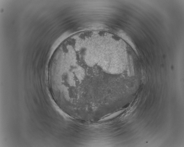 X0000068891099200605261839