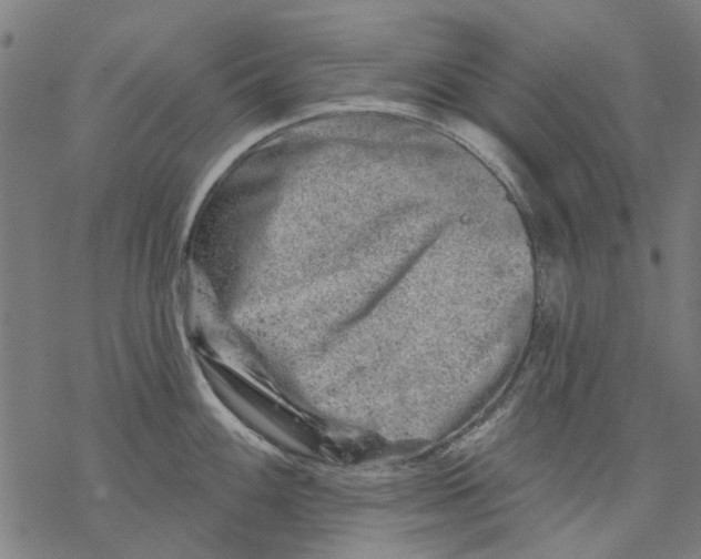 X0000068891100200605261839