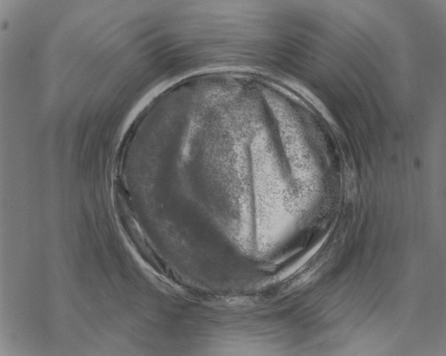 X0000068891101200605261839