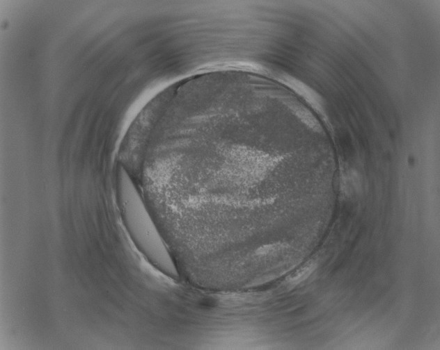 X0000068891102200605261839