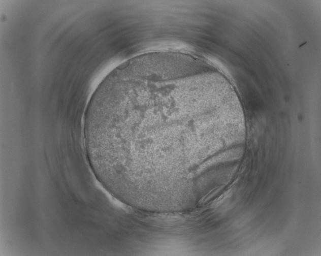 X0000068891103200605261839