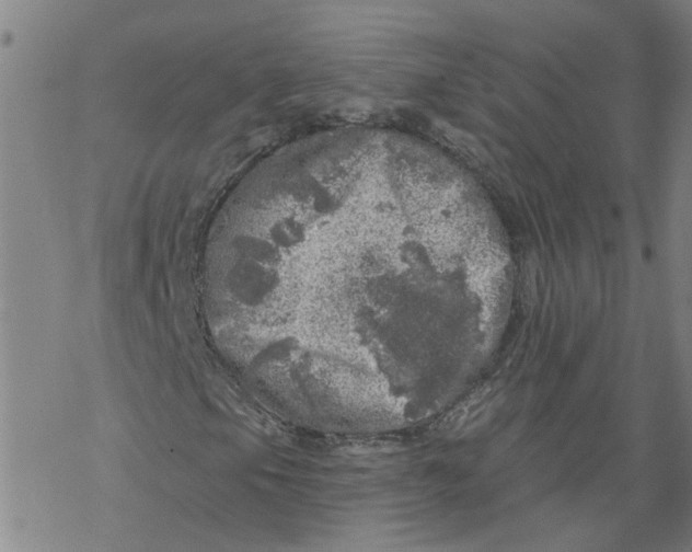 X0000068891105200605261839