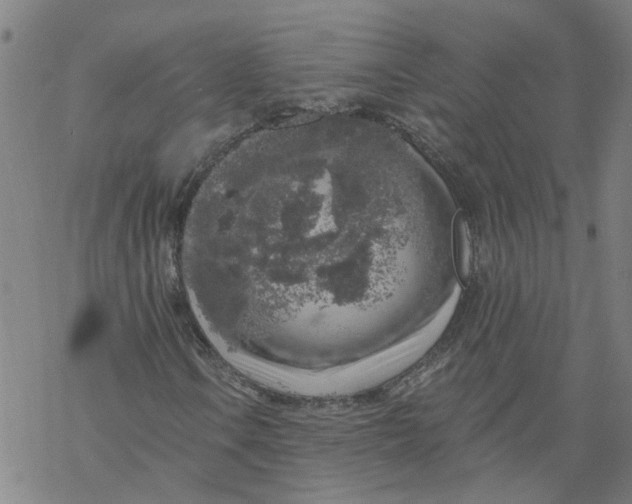 X0000068891106200605261839