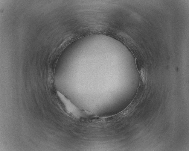 X0000068891107200605261839