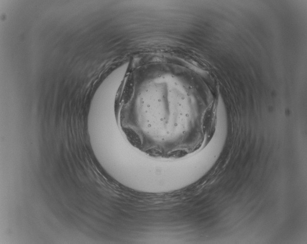 X0000068891108200605261839