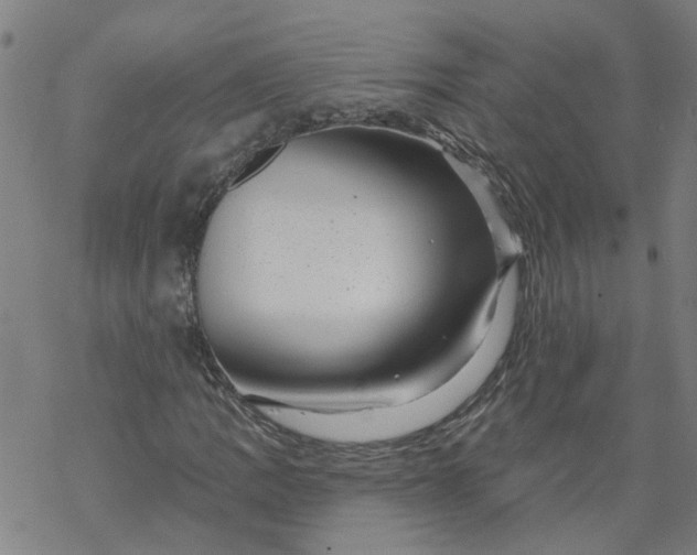 X0000068891109200605261839