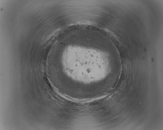 X0000068891110200605261839