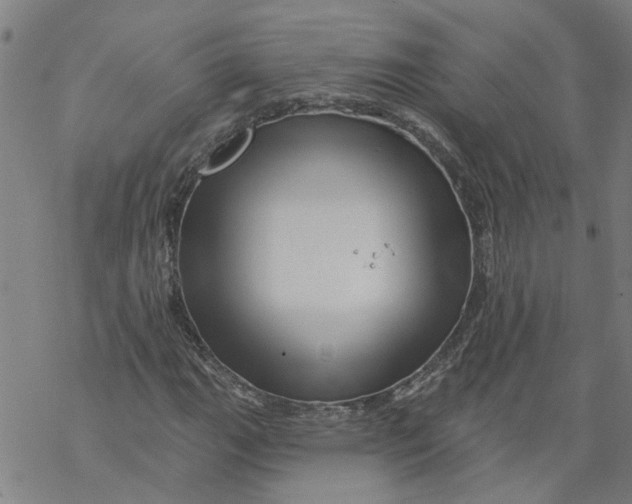 X0000068891111200605261839