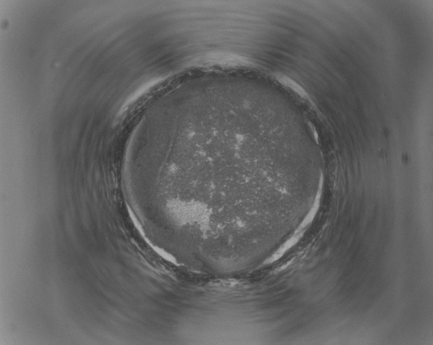 X0000068891112200605261839