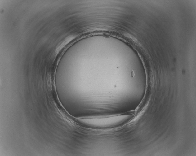 X0000068891113200605261839