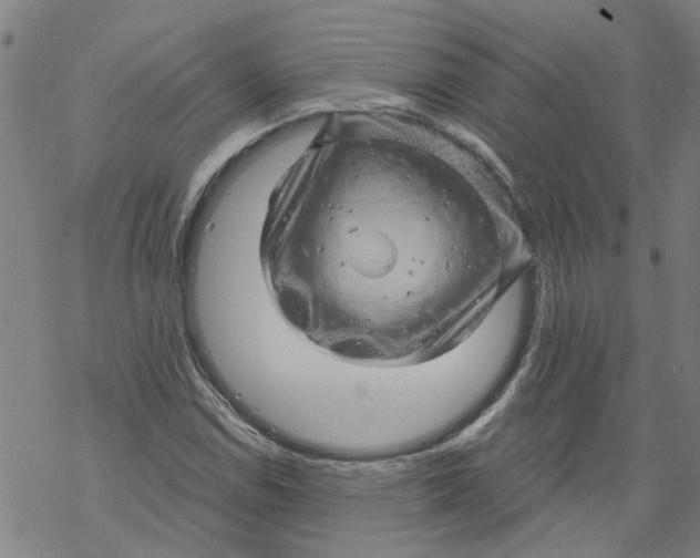 X0000068891114200605261839