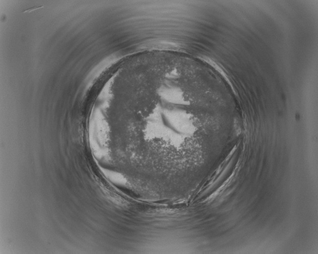 X0000068891115200605261839