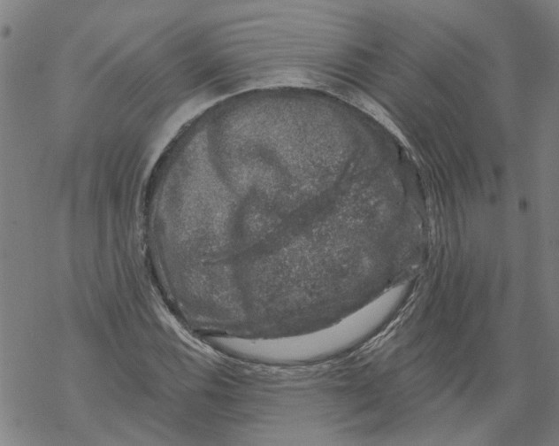 X0000068891116200605261839