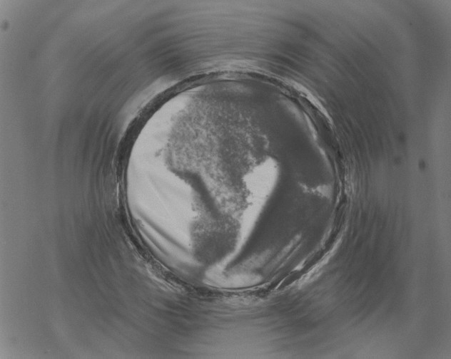 X0000068891117200605261839