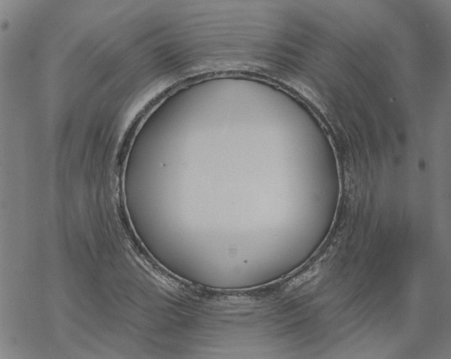 X0000068891119200605261839