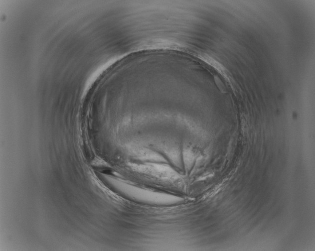 X0000068891120200605261839