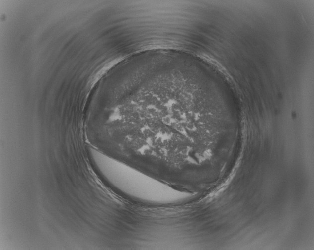 X0000068891121200605261839