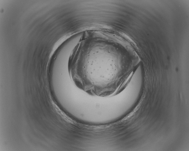 X0000068891122200605261839