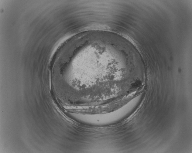 X0000068891123200605261839