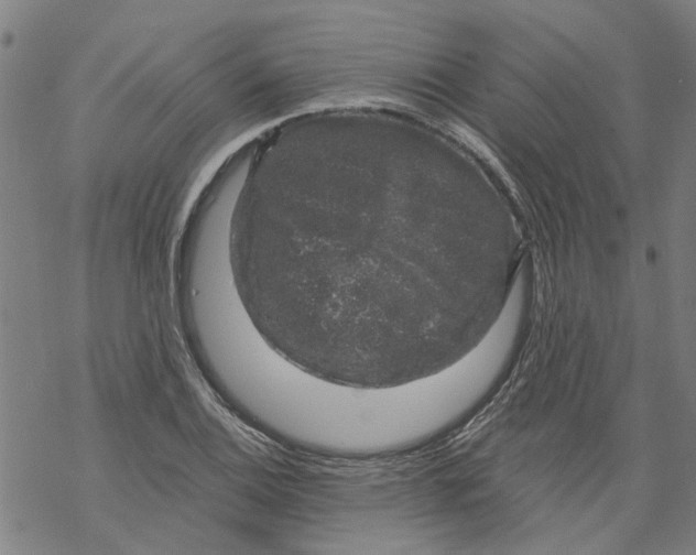 X0000068891124200605261839