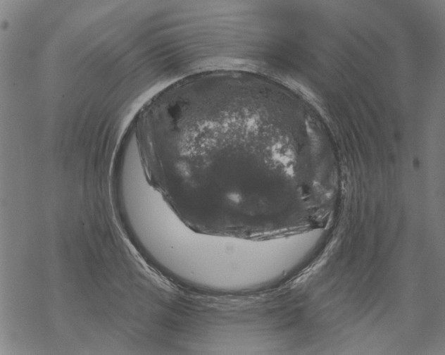 X0000068891125200605261839