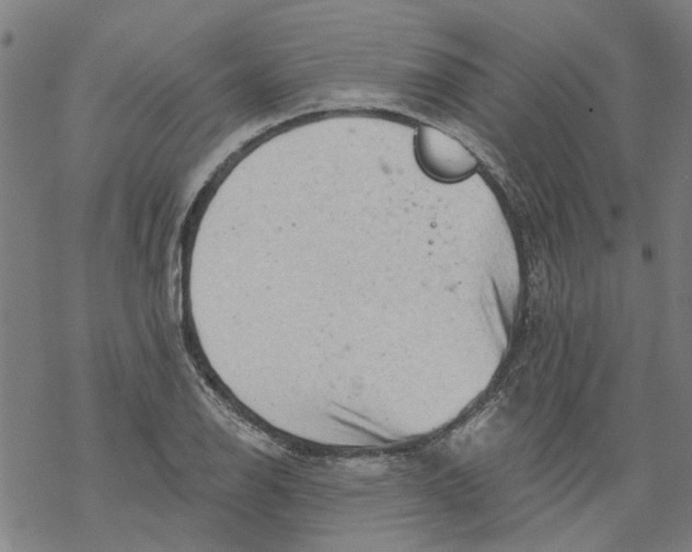 X0000068891126200605261839