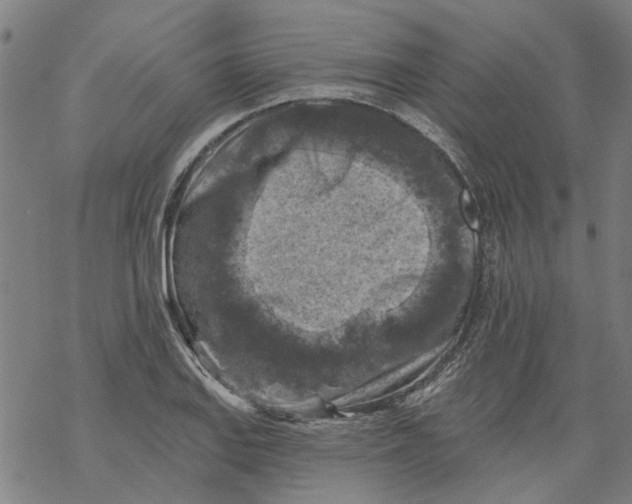 X0000068891127200605261839