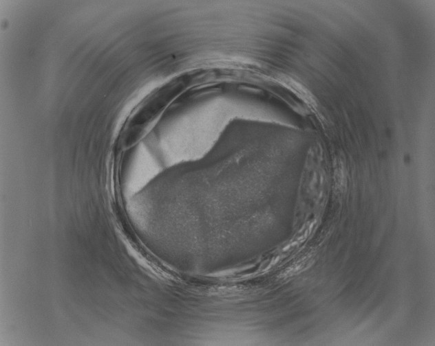 X0000068891128200605261839