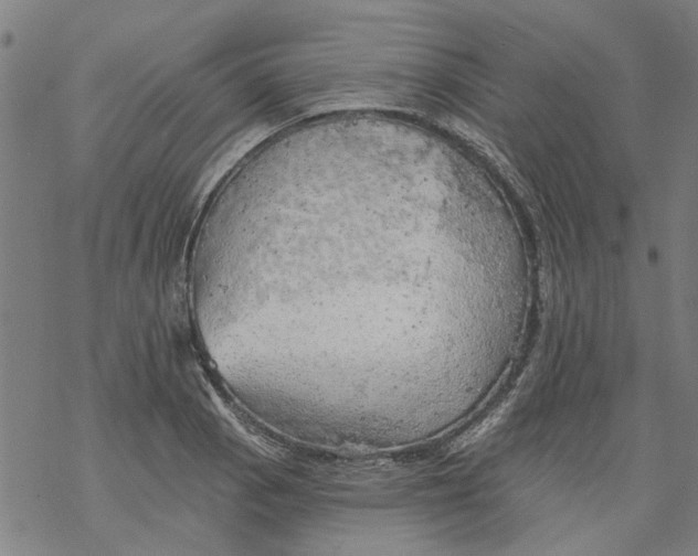 X0000068891129200605261839