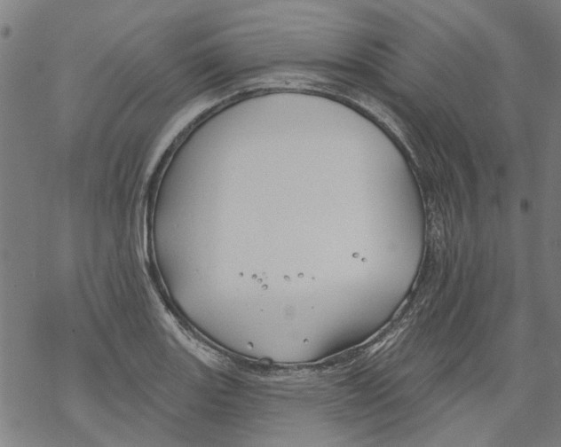 X0000068891131200605261839