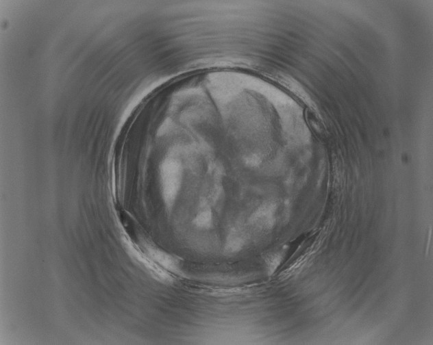 X0000068891132200605261839