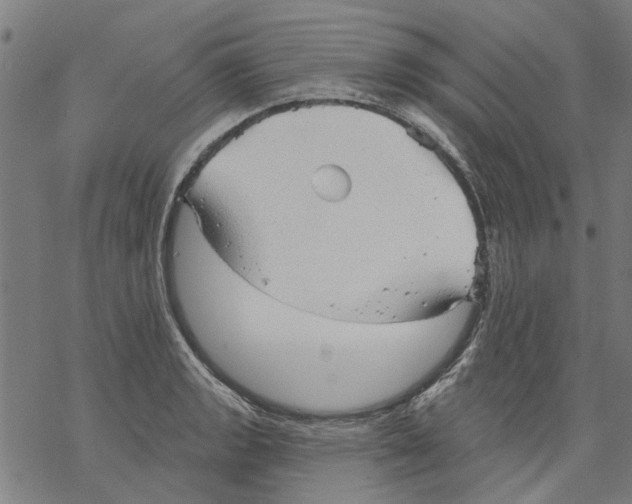 X0000068891133200605261839