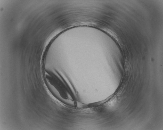 X0000068891135200605261839