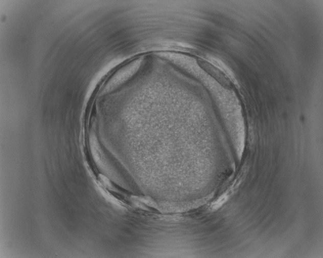 X0000068891136200605261839