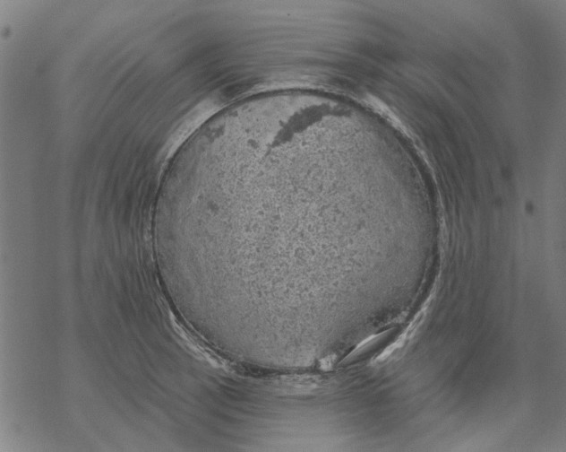 X0000068891137200605261839