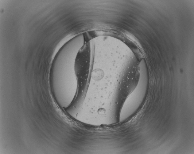 X0000068891138200605261839