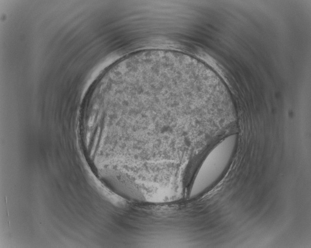 X0000068891139200605261839