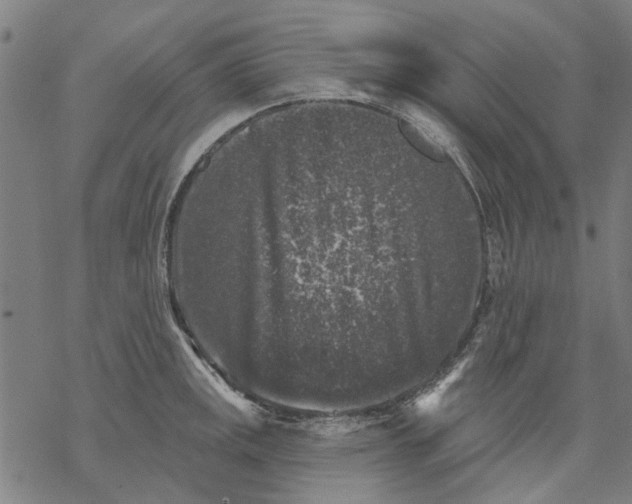 X0000068891141200605261839