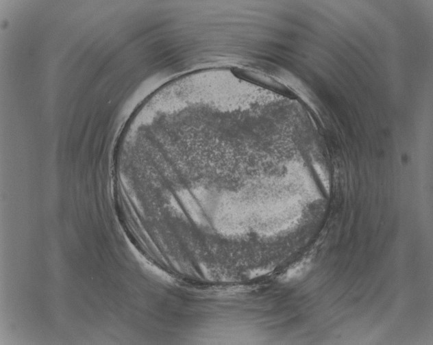 X0000068891143200605261839