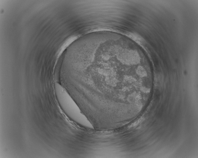 X0000068891145200605261839