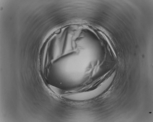 X0000068891147200605261839